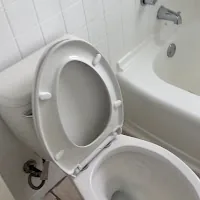 Toilet detail